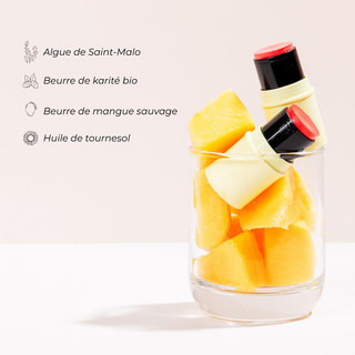 Baume et Blush le Fantastick